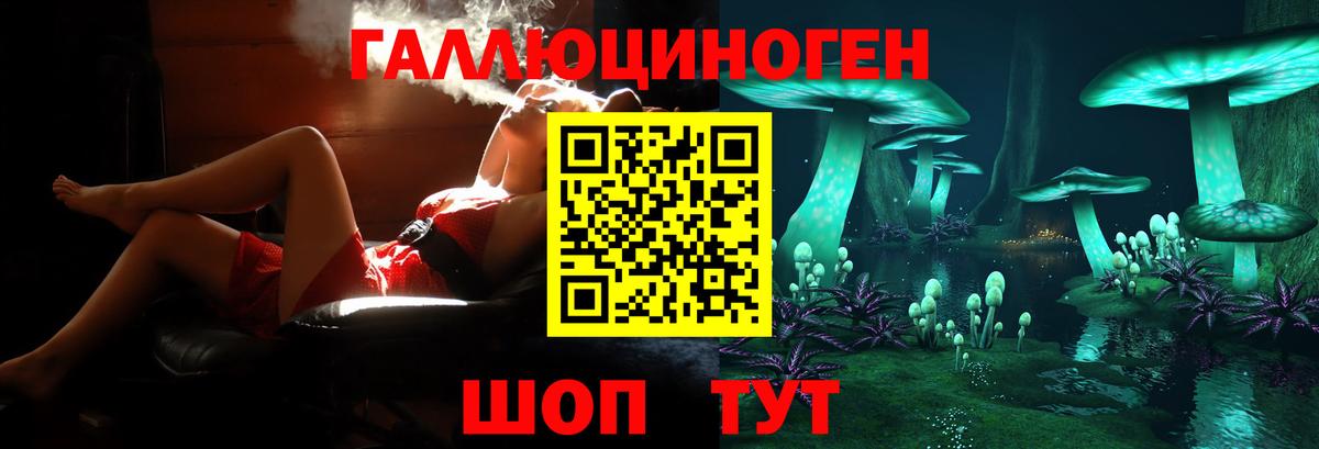 Галлюциногенные грибы прущие грибы Ульяновск